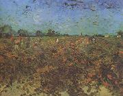 Vincent Van Gogh, The Green Vineyard (nn04)
